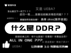 青騅 DDR v3.0 全新升級！